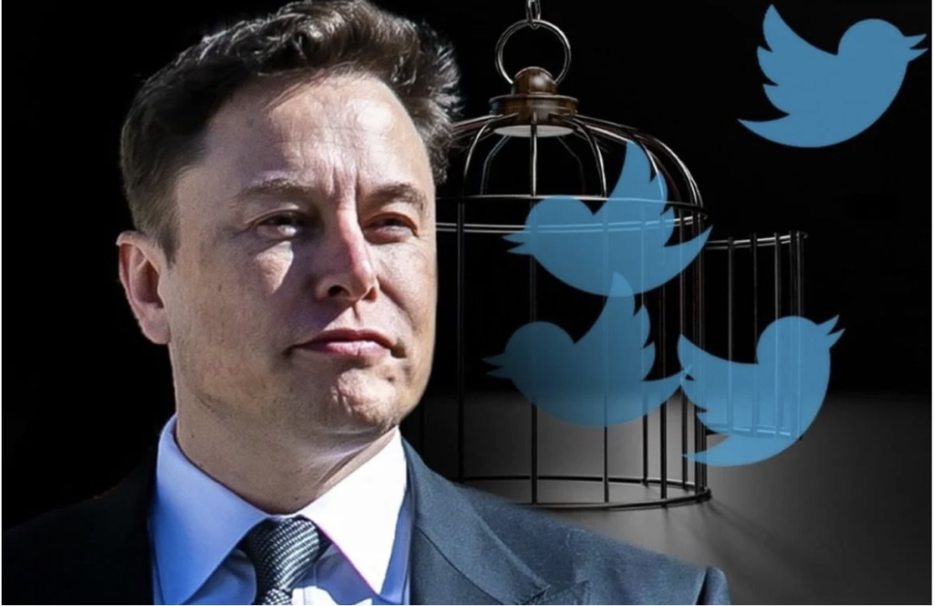 EPIC! Elon Musk Responds to Catturd2 After ‘Based’ Senator Mike Lee Has His Private Twitter Account Removed