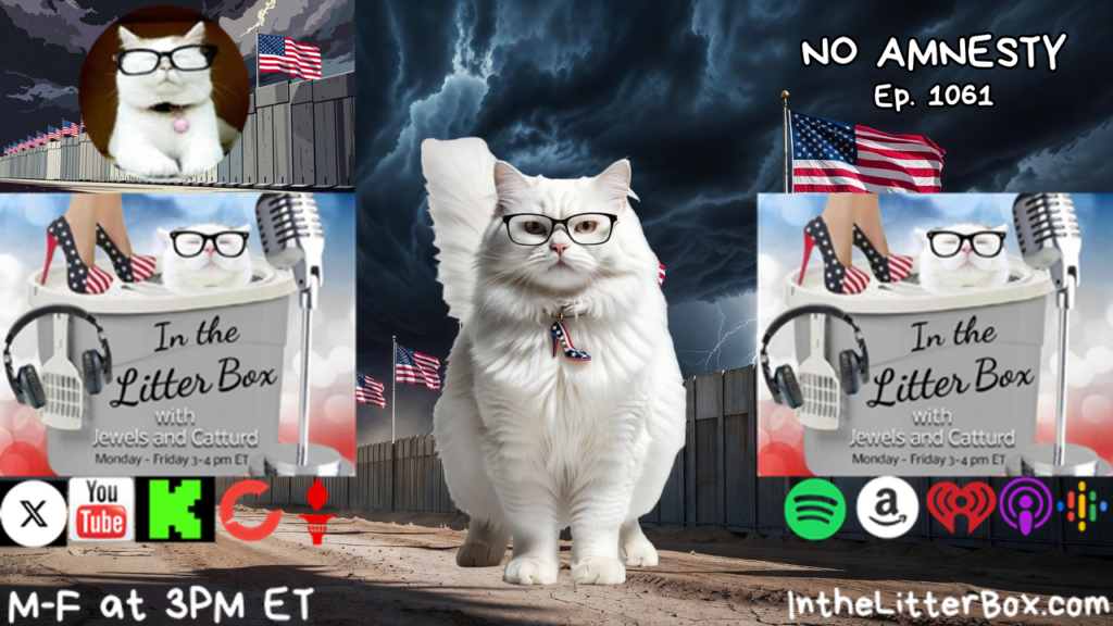 NO AMNESTY | In the Litter Box w/ Jewels & Catturd – Ep. 1061 – 7/22/2026