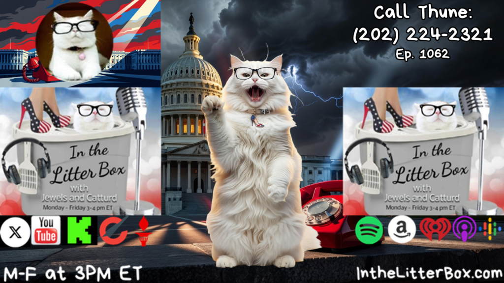 CALL THUNE: (202) 224-2321 | In the Litter Box w/ Jewels & Catturd – Ep. 1062 – 7/23/2026