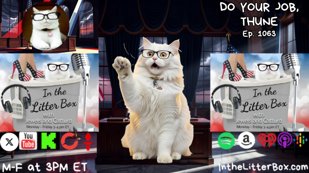 DO YOUR JOB, THUNE | In the Litter Box w/ Jewels & Catturd – Ep. 1063 – 7/24/2026