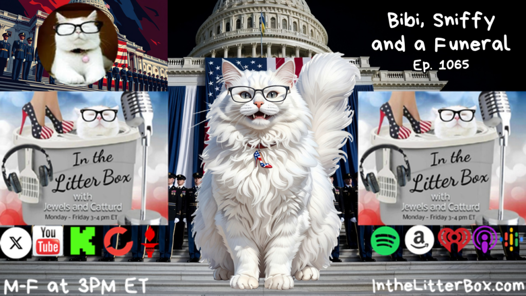 Bibi, Sniffy and a Funeral | In the Litter Box w/ Jewels & Catturd – Ep. 1065 – 7/28/2026