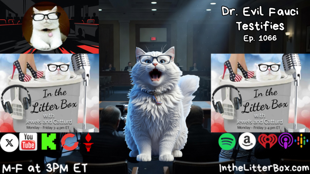 Dr. Evil Fauci Testifies | In the Litter Box w/ Jewels & Catturd – Ep. 1066 – 7/29/2026
