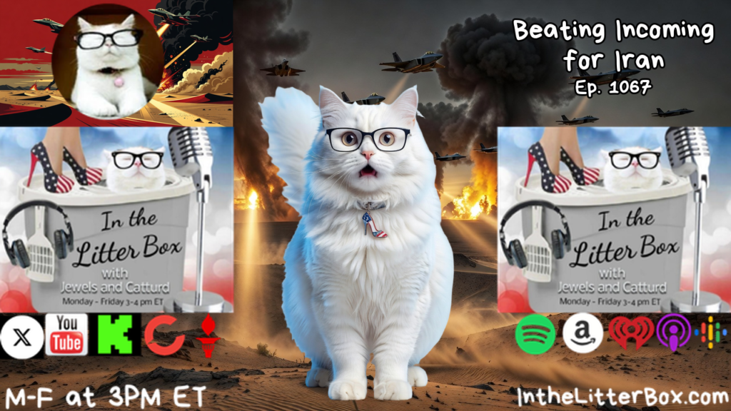 BEATING INCOMING FOR IRAN | In the Litter Box w/ Jewels & Catturd – Ep. 1067 – 7/30/2026