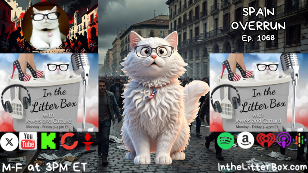 SPAIN OVERRUN | In the Litter Box w/ Jewels & Catturd – Ep. 1068 – 7/31/2026