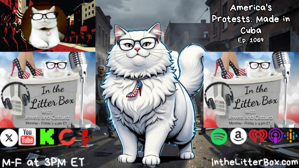 AMERICA’S PROTESTS: MADE IN CUBA | In the Litter Box w/ Jewels & Catturd – Ep. 1069 – 8/3/2026