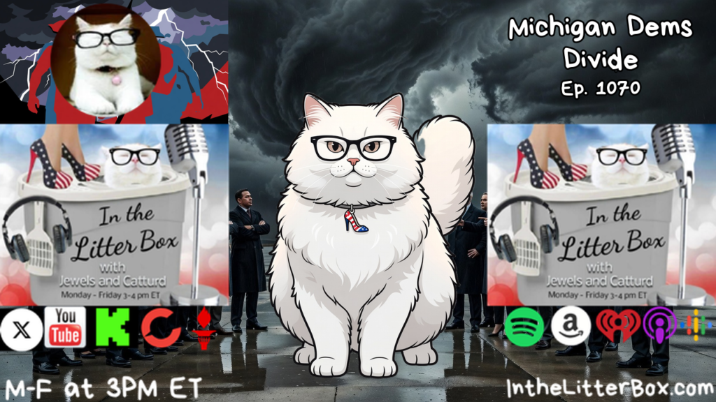 MICHIGAN DEMS DIVIDE | In the Litter Box w/ Jewels & Catturd – Ep. 1070 – 8/4/2026