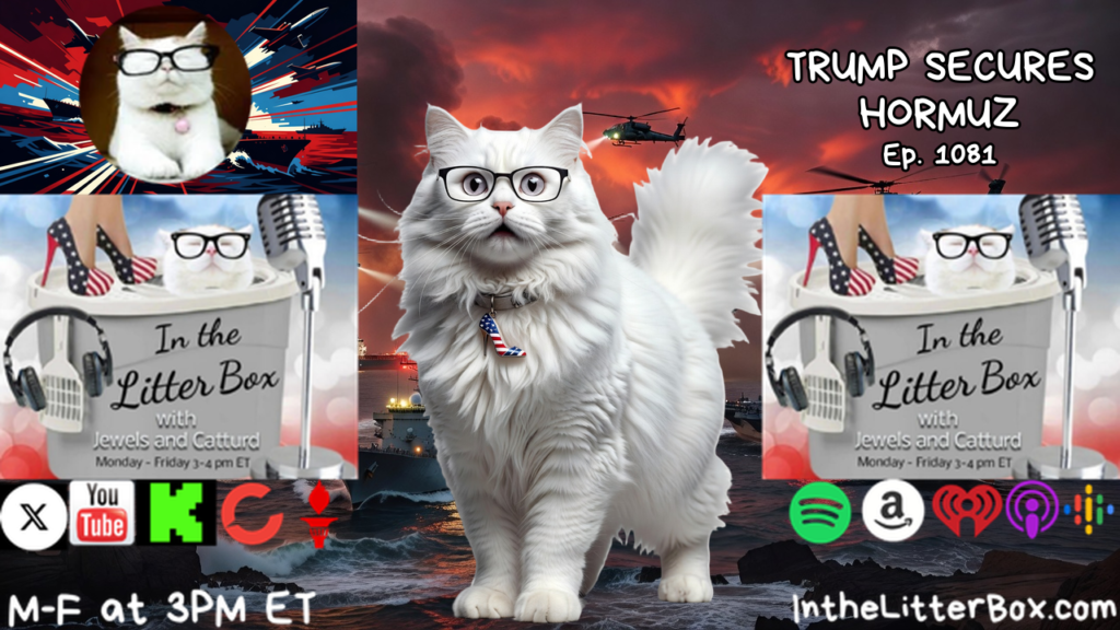 TRUMP SECURES HORMUZ | In the Litter Box w/ Jewels & Catturd – Ep. 1081 – 8/19/2026