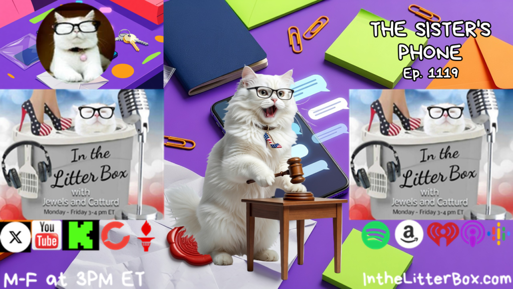 THE SISTER’S PHONE | In the Litter Box w/ Jewels & Catturd – Ep. 1119 – 10/20/2026